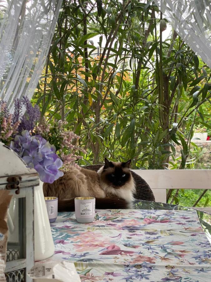 B&B La Terrazza Поццоленго Экстерьер фото